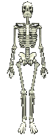 Esqueleto
