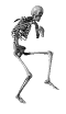 Esqueleto