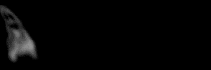fantasma