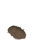 Tumba