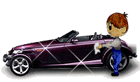 Coche