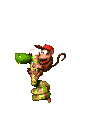 Donkey Kong