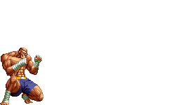 Street Fighter