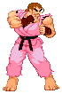 Street Fighter
