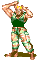 Gif de Street Fighter