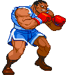 Street Fighter