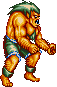 Street Fighter